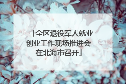全区退役军人就业创业工作现场推进会在北海市召开