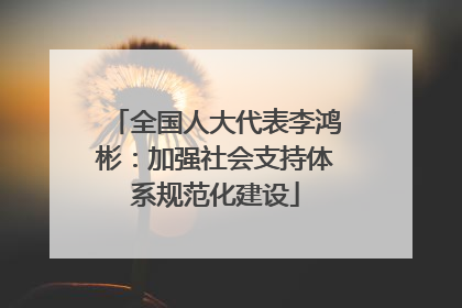 全国人大代表李鸿彬：加强社会支持体系规范化建设