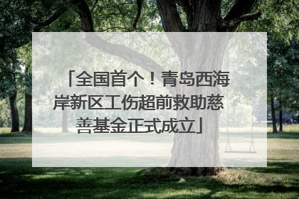 全国首个！青岛西海岸新区工伤超前救助慈善基金正式成立
