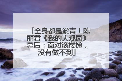 全身都是淤青！陈丽君《我的大观园》幕后：面对滚楼梯，没有做不到