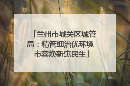 兰州市城关区城管局：精管细治优环境 市容焕新惠民生