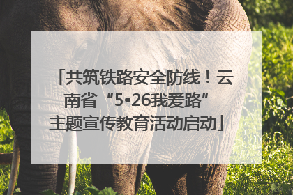 共筑铁路安全防线！云南省“5•26我爱路”主题宣传教育活动启动