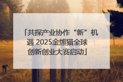 共探产业协作“新”机遇 2025金熊猫全球创新创业大赛启动