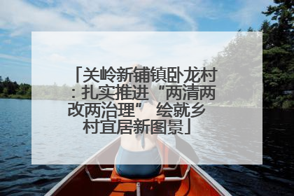 关岭新铺镇卧龙村：扎实推进“两清两改两治理” 绘就乡村宜居新图景