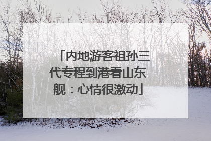 内地游客祖孙三代专程到港看山东舰：心情很激动