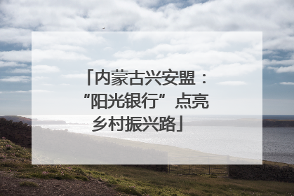 内蒙古兴安盟：“阳光银行”点亮乡村振兴路