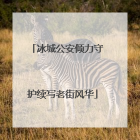 冰城公安倾力守护续写老街风华