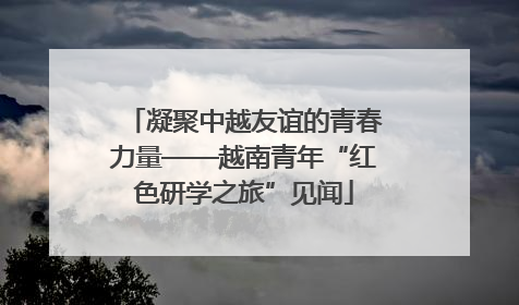 凝聚中越友谊的青春力量——越南青年“红色研学之旅”见闻