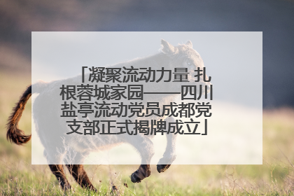 凝聚流动力量 扎根蓉城家园——四川盐亭流动党员成都党支部正式揭牌成立