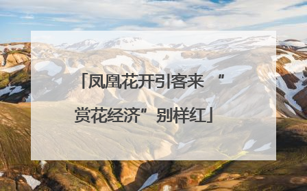 凤凰花开引客来 “赏花经济”别样红