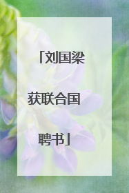 刘国梁获联合国聘书