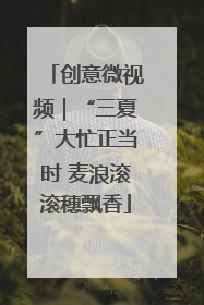 创意微视频｜“三夏”大忙正当时 麦浪滚滚穗飘香