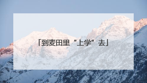 到麦田里“上学”去