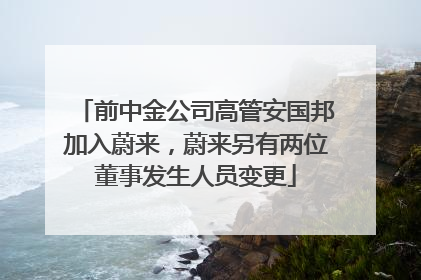 前中金公司高管安国邦加入蔚来，蔚来另有两位董事发生人员变更