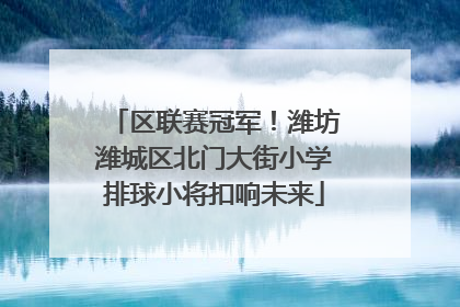 区联赛冠军！潍坊潍城区北门大街小学排球小将扣响未来