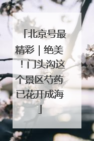 北京号最精彩｜绝美！门头沟这个景区芍药已花开成海