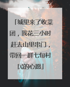 城里来了收菜团，我花三小时赶去山里串门，带回一群七旬村民的心愿