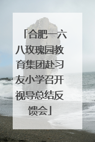 合肥一六八玫瑰园教育集团赴习友小学召开视导总结反馈会