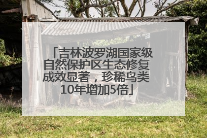 吉林波罗湖国家级自然保护区生态修复成效显著，珍稀鸟类10年增加5倍