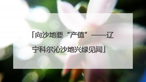 向沙地要“产值”——辽宁科尔沁沙地兴绿见闻