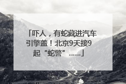 吓人，有蛇藏进汽车引擎盖！北京9天接9起“蛇警”……