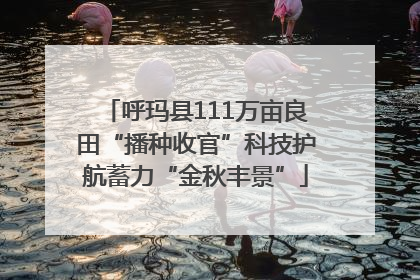 呼玛县111万亩良田“播种收官”科技护航蓄力“金秋丰景”