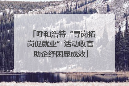 呼和浩特“寻岗拓岗促就业”活动收官 助企纾困显成效