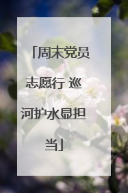 周末党员志愿行 巡河护水显担当