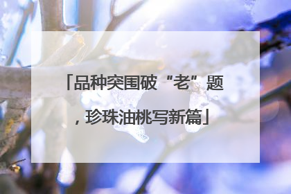 品种突围破“老”题，珍珠油桃写新篇