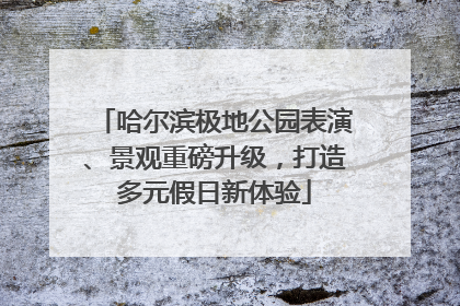 哈尔滨极地公园表演、景观重磅升级，打造多元假日新体验