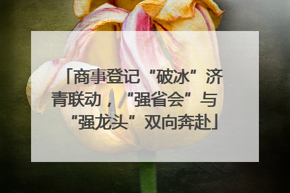 商事登记“破冰”济青联动，“强省会”与“强龙头”双向奔赴