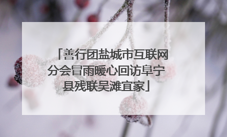 善行团盐城市互联网分会冒雨暖心回访阜宁县残联吴滩宜家