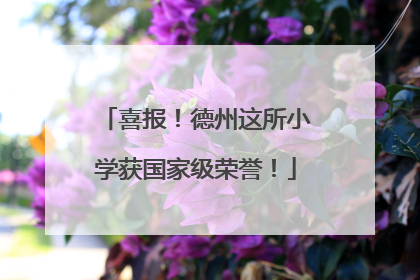 喜报！德州这所小学获国家级荣誉！