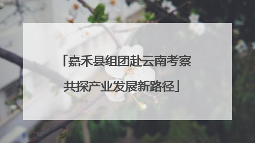 嘉禾县组团赴云南考察 共探产业发展新路径