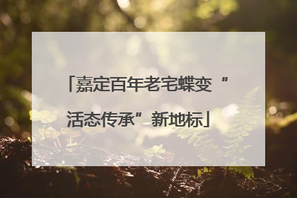 嘉定百年老宅蝶变“活态传承”新地标