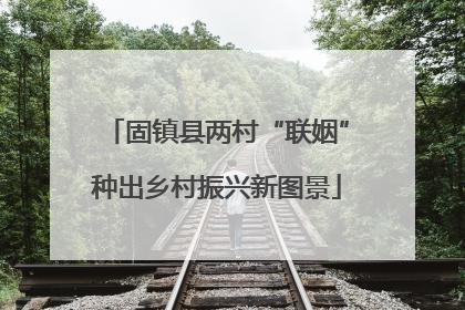固镇县两村“联姻”种出乡村振兴新图景