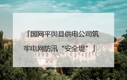 国网平舆县供电公司筑牢电网防汛“安全堤”