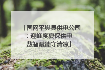 国网平舆县供电公司：迎峰度夏保供电  数智赋能守清凉