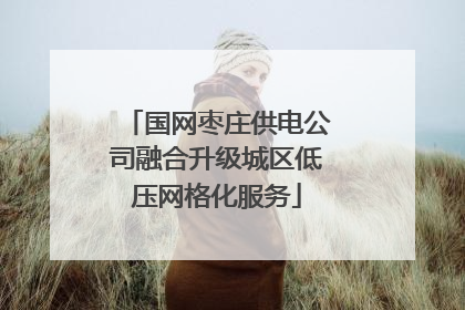 国网枣庄供电公司融合升级城区低压网格化服务