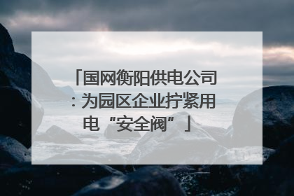 国网衡阳供电公司：为园区企业拧紧用电“安全阀”