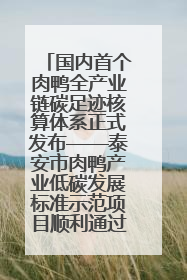 国内首个肉鸭全产业链碳足迹核算体系正式发布——泰安市肉鸭产业低碳发展标准示范项目顺利通过验收