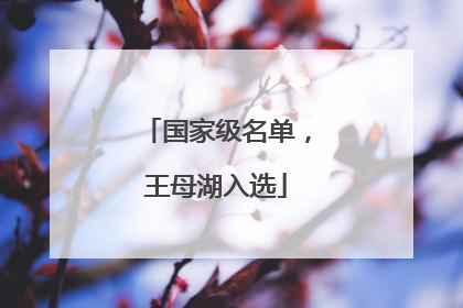国家级名单，王母湖入选