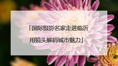 国际摄影名家走进临沂 用镜头解码城市魅力