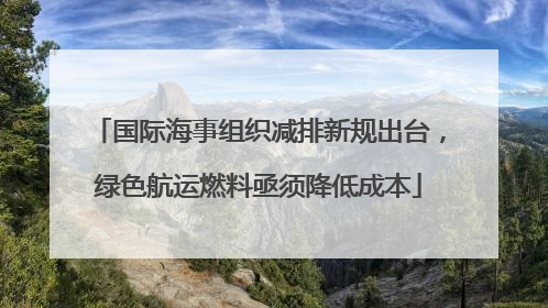 国际海事组织减排新规出台，绿色航运燃料亟须降低成本