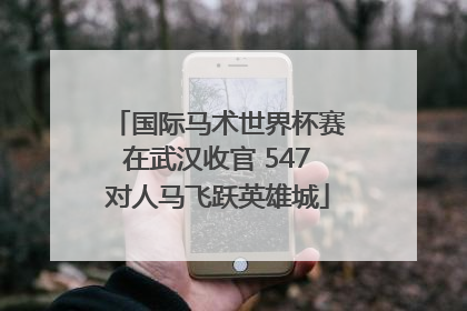 国际马术世界杯赛在武汉收官 547对人马飞跃英雄城