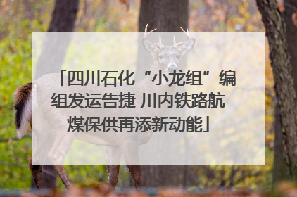 四川石化“小龙组”编组发运告捷 川内铁路航煤保供再添新动能