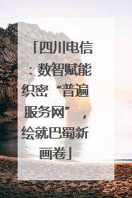 四川电信：数智赋能织密“普遍服务网”，绘就巴蜀新画卷