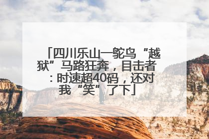 四川乐山一鸵鸟“越狱”马路狂奔，目击者：时速超40码，还对我“笑”了下
