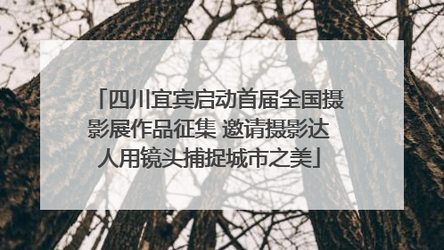 四川宜宾启动首届全国摄影展作品征集 邀请摄影达人用镜头捕捉城市之美