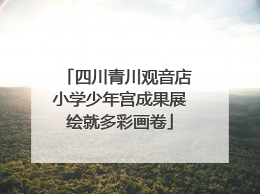 四川青川观音店小学少年宫成果展绘就多彩画卷
